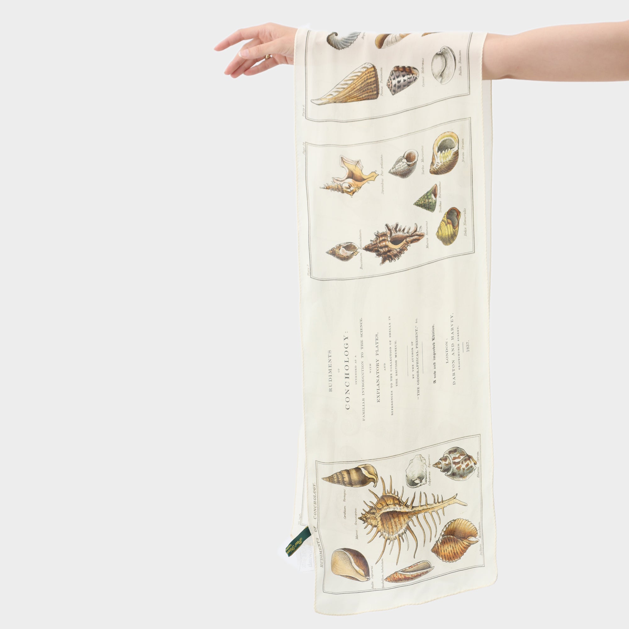 Paul Harnden Shoemakers Silk Scarf